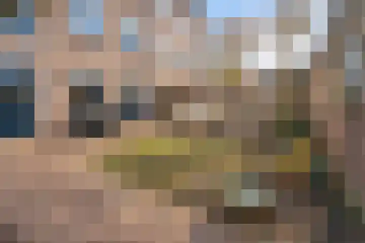 Loggerstraat 8 Utrecht thumbnail 37
