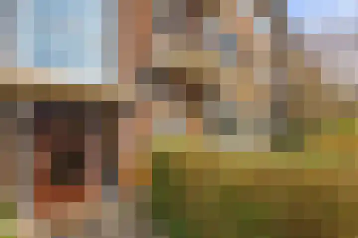 Loggerstraat 8 Utrecht thumbnail 9