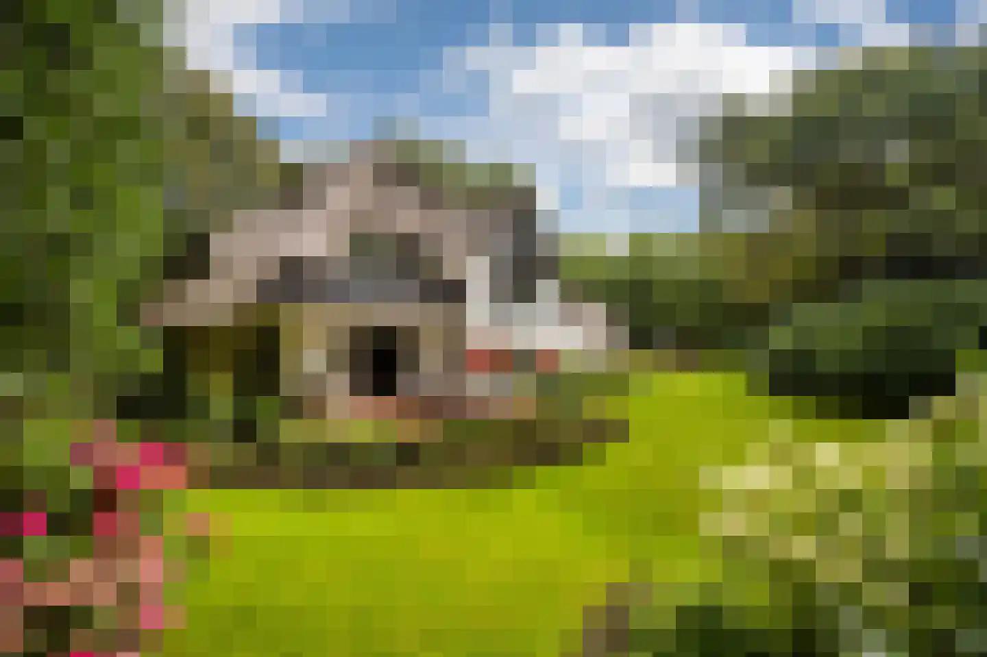 Logosberg 5 Laren thumbnail 25