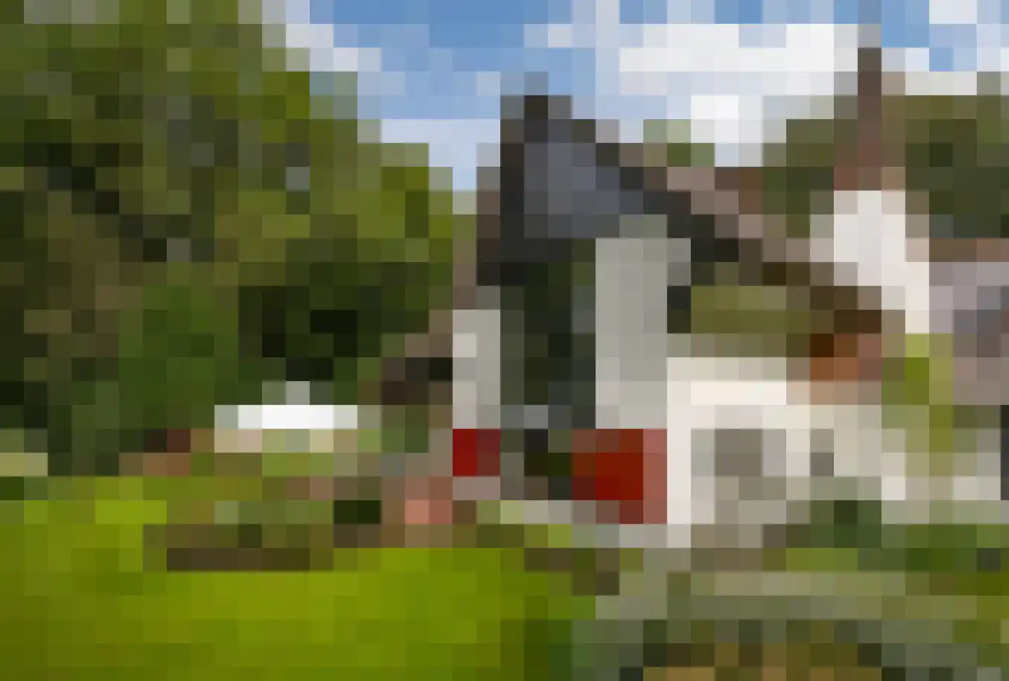 Logosberg 5 Laren thumbnail 26