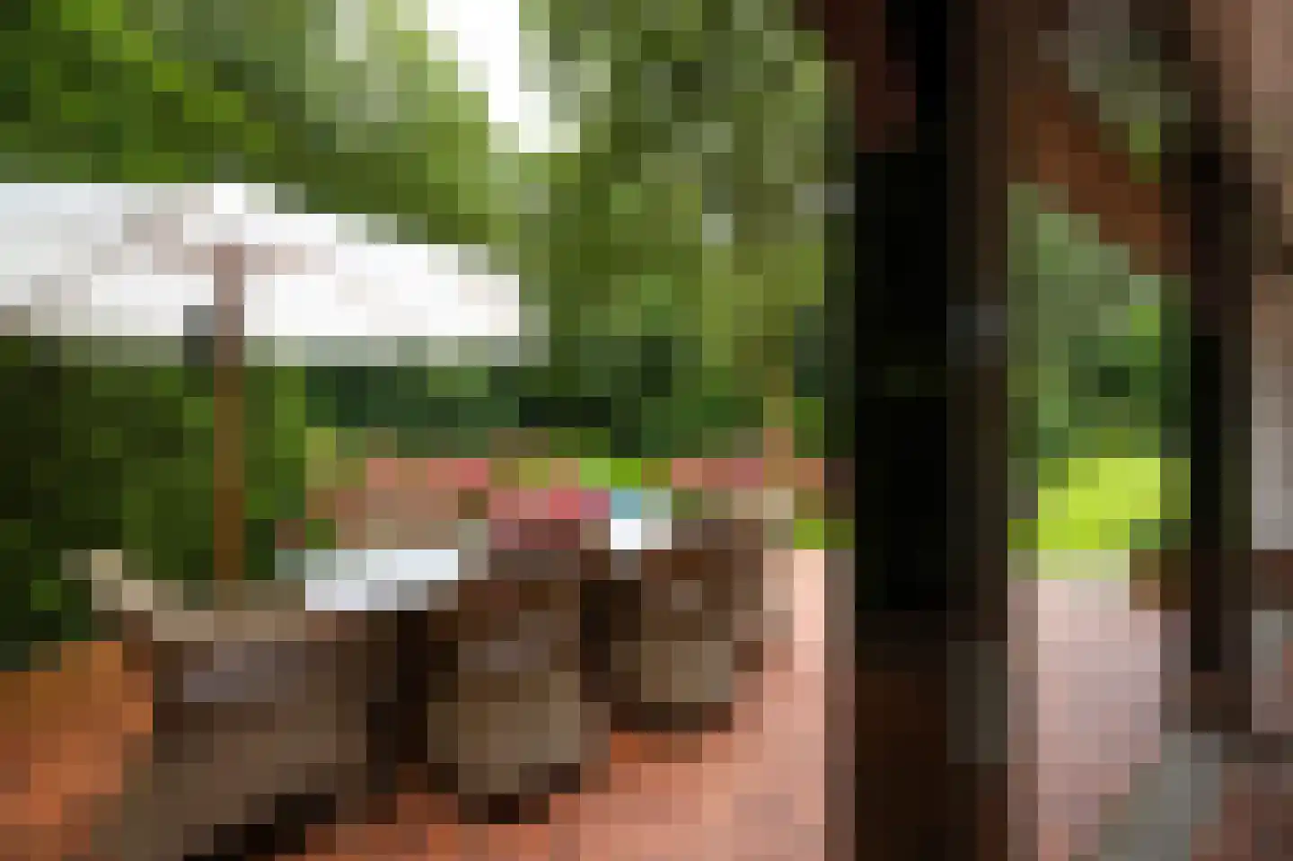Logosberg 5 Laren thumbnail 27