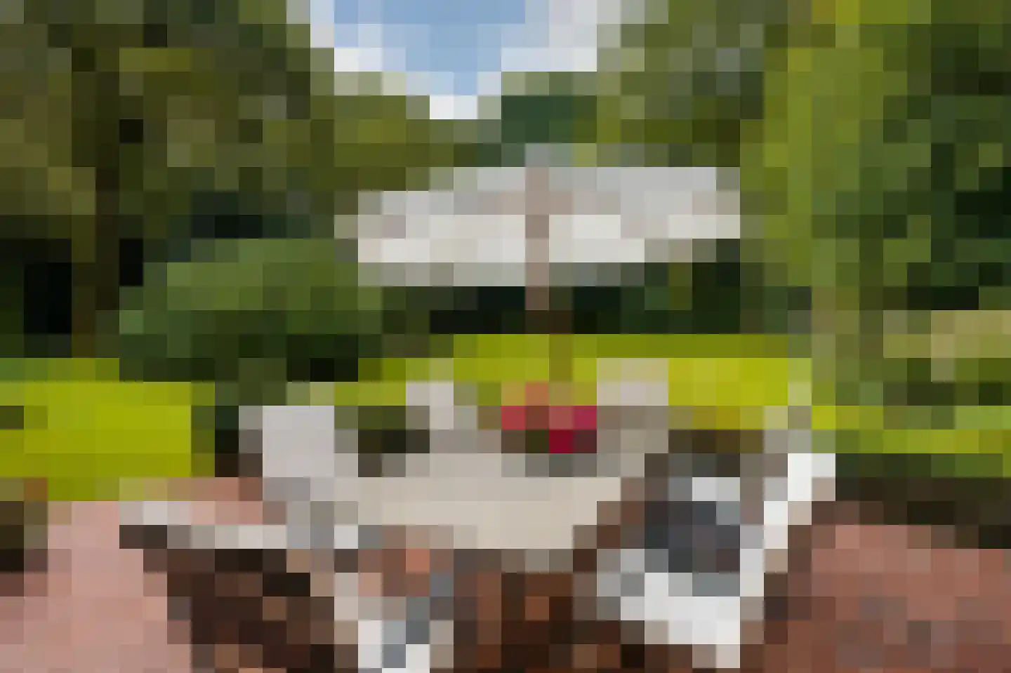 Logosberg 5 Laren thumbnail 28