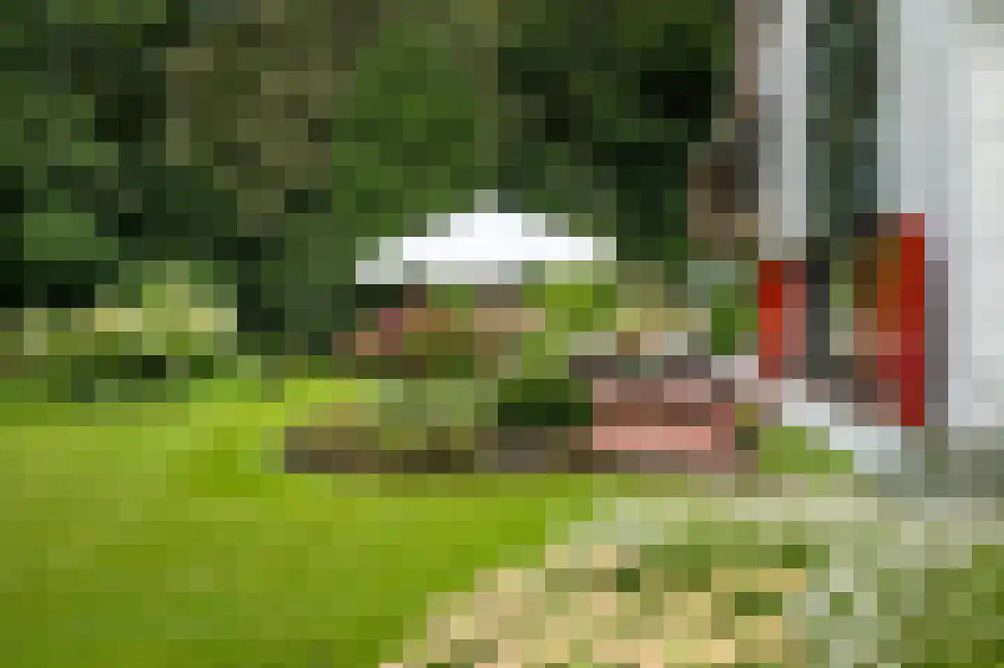 Logosberg 5 Laren thumbnail 29