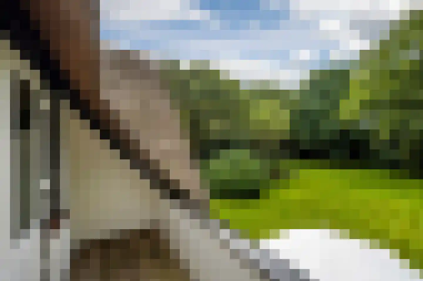 Logosberg 5 Laren thumbnail 30