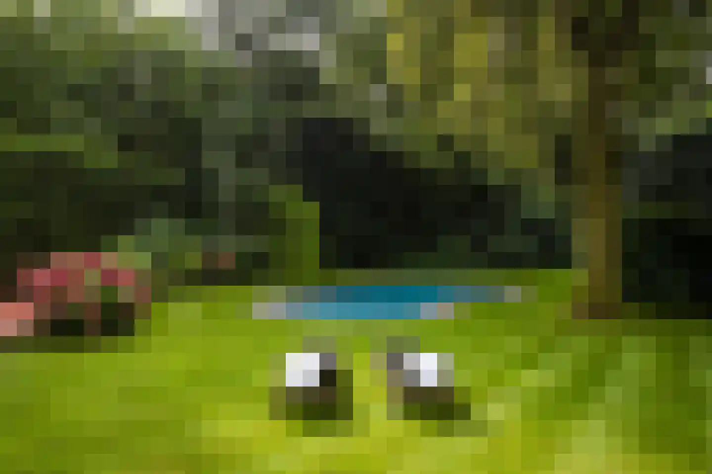 Logosberg 5 Laren thumbnail 32