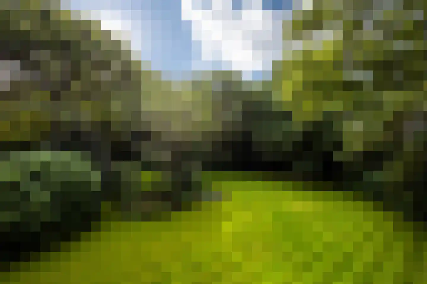 Logosberg 5 Laren thumbnail 33