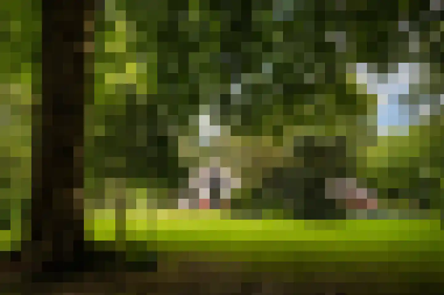 Logosberg 5 Laren thumbnail 34