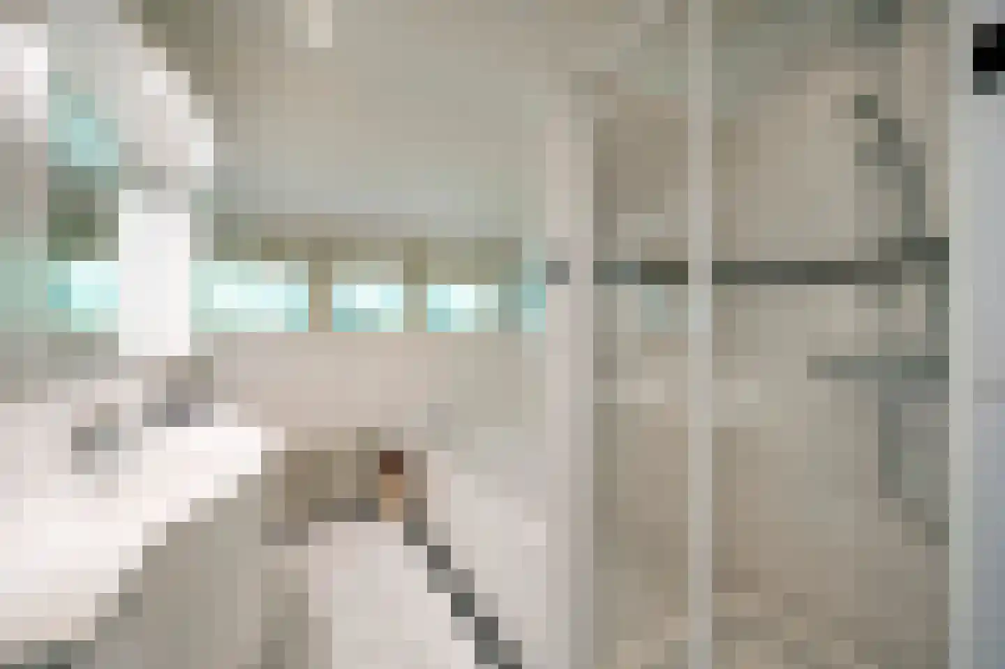 Logosberg 5 Laren thumbnail 39