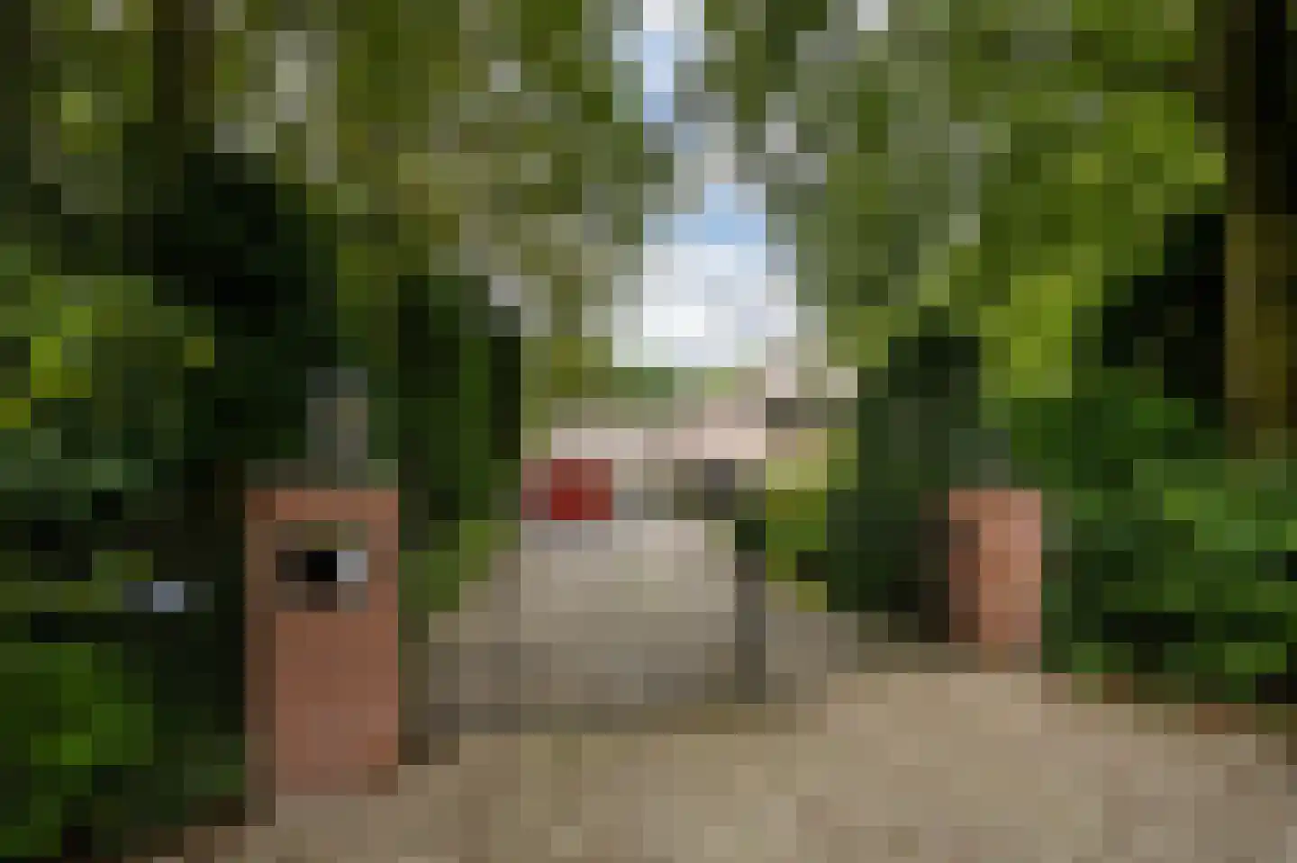 Logosberg 5 Laren thumbnail 4