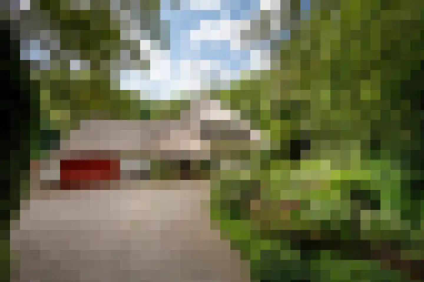 Logosberg 5 Laren thumbnail 5