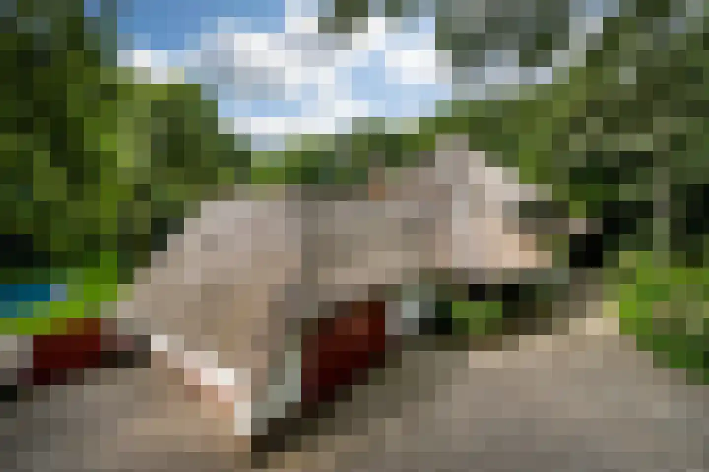 Logosberg 5 Laren thumbnail 6