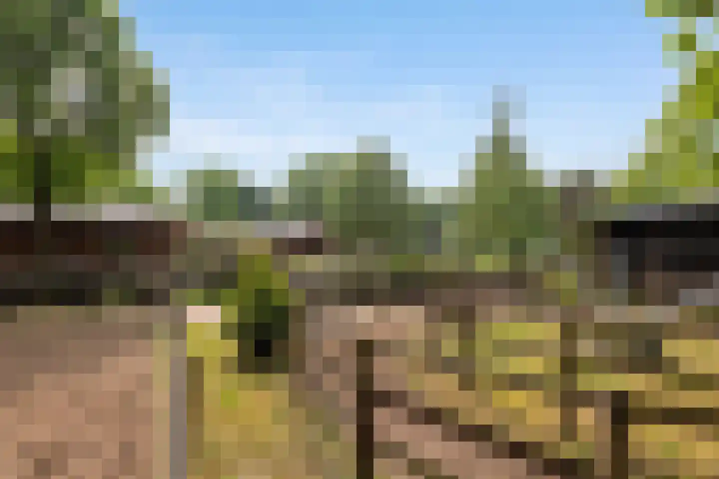 Logtenburg 4 Veghel thumbnail 5