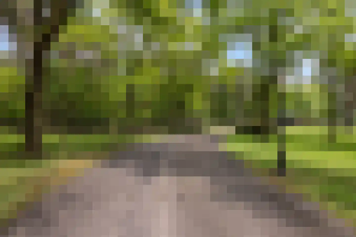 Logtenburg 4 Veghel thumbnail 7