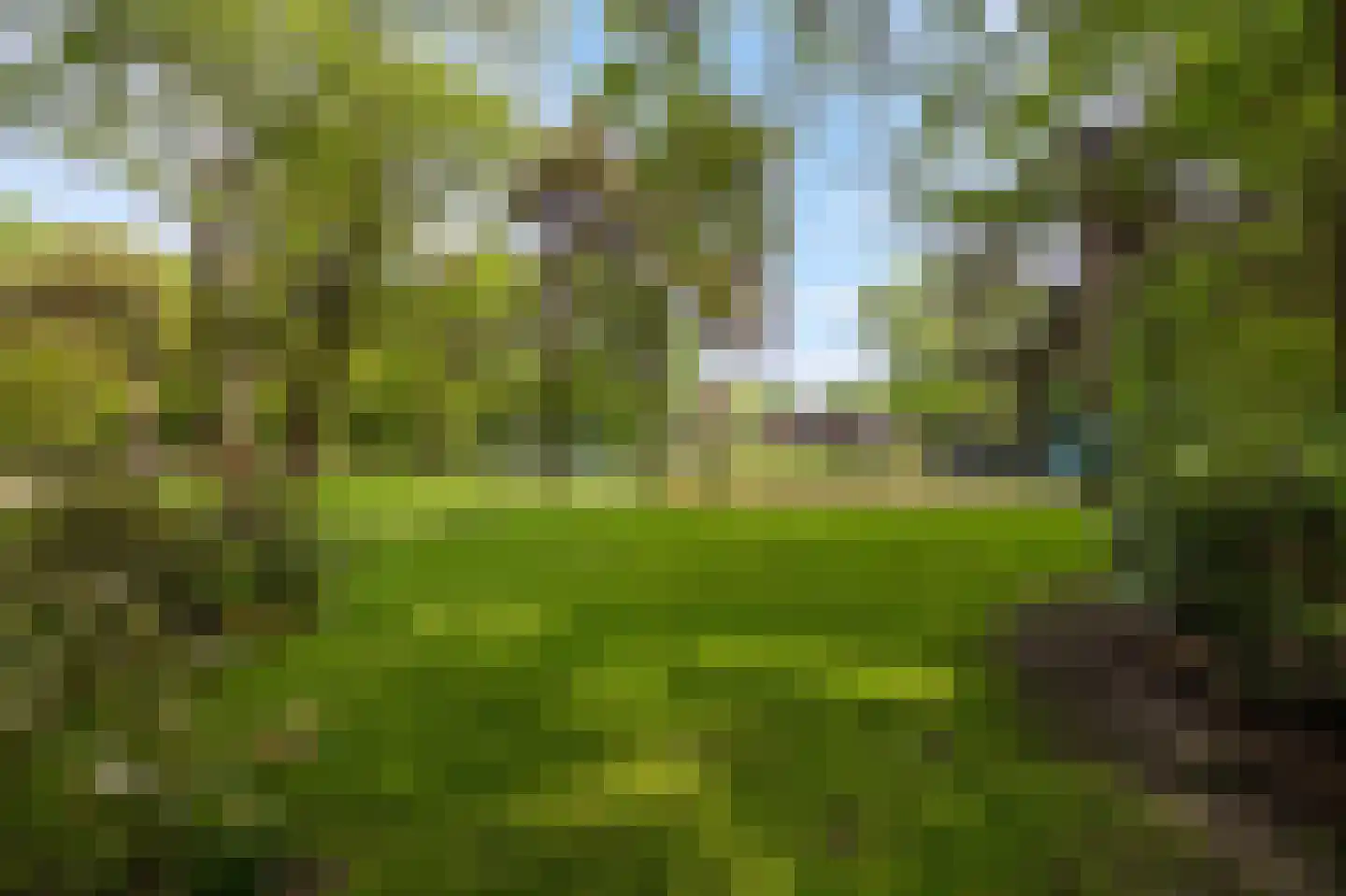 Logtenburg 4 Veghel thumbnail 8