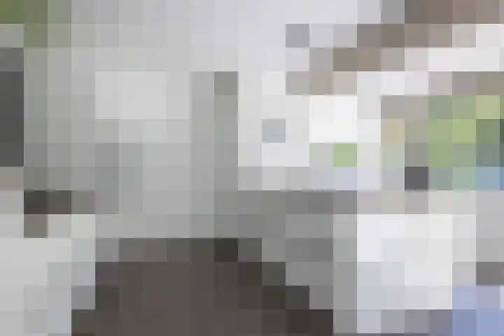 Logterberge 16 Gennep thumbnail 19