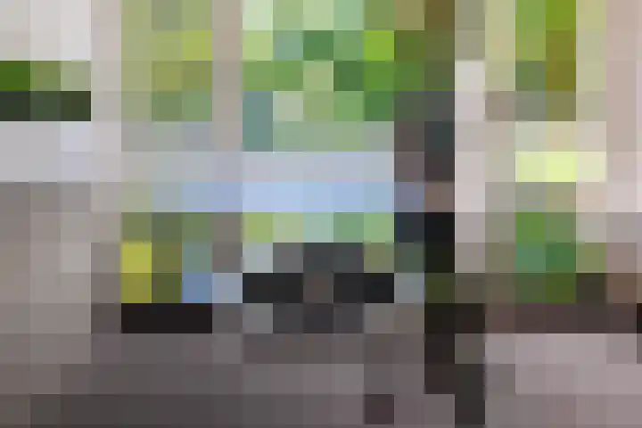 Logterberge 16 Gennep thumbnail 24