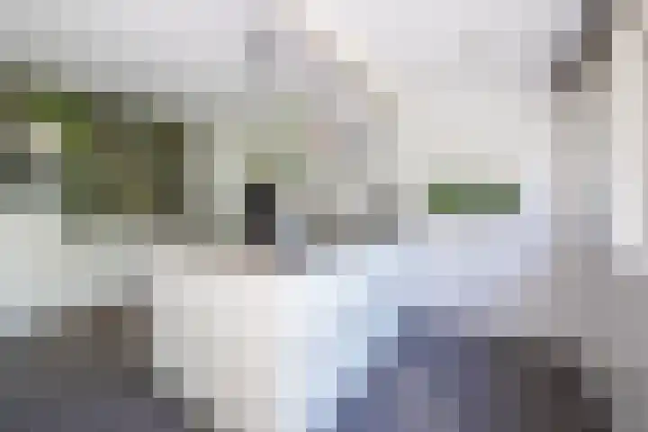 Logterberge 16 Gennep thumbnail 25