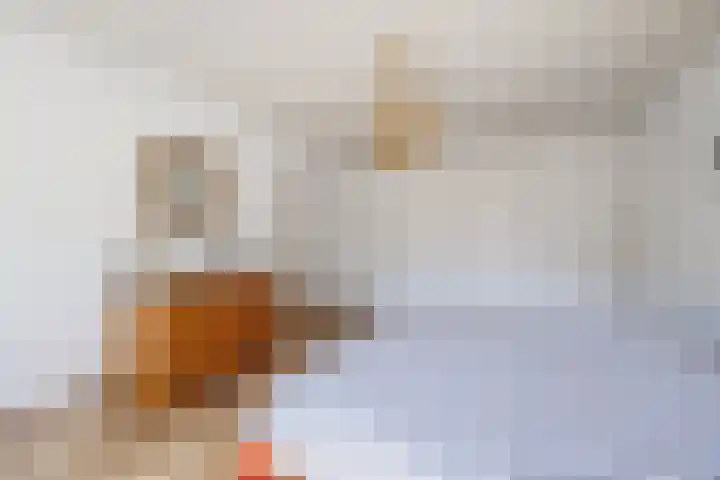 Logterberge 16 Gennep thumbnail 37