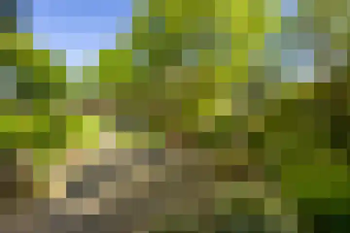 Logterberge 16 Gennep thumbnail 55
