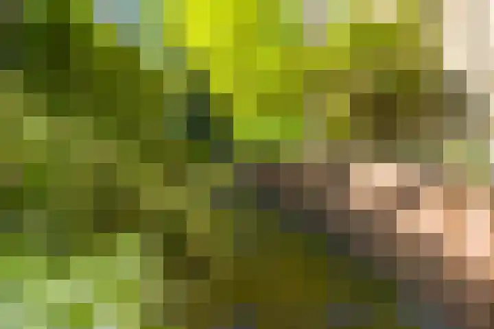 Logterberge 16 Gennep thumbnail 56