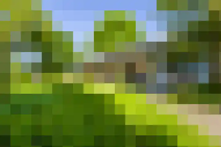 Logterberge 16 Gennep thumbnail 58