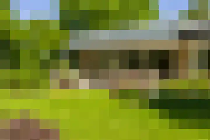 Logterberge 16 Gennep thumbnail 61