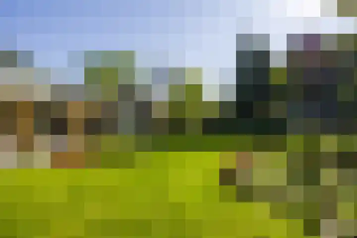 Logterberge 16 Gennep thumbnail 63
