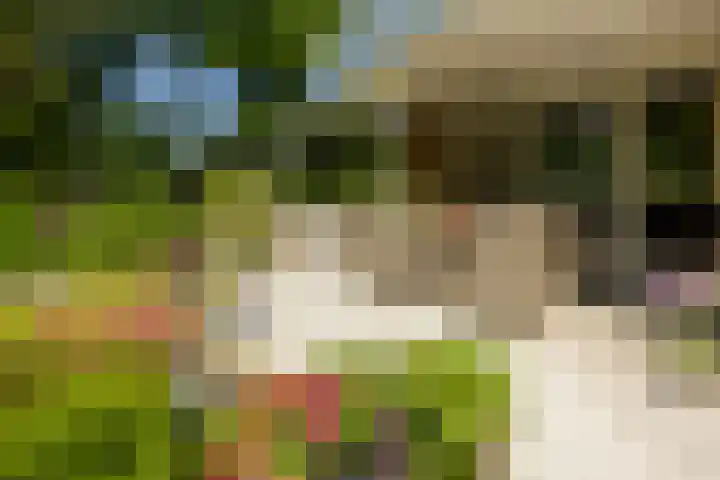 Logterberge 16 Gennep thumbnail 65