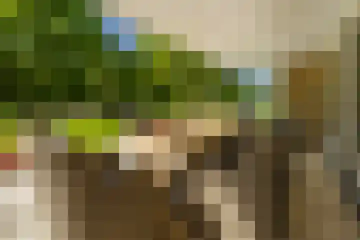 Logterberge 16 Gennep thumbnail 66