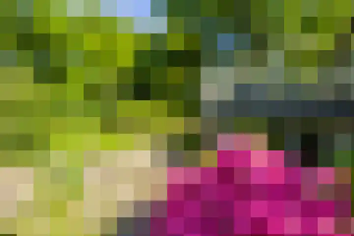 Logterberge 16 Gennep thumbnail 69