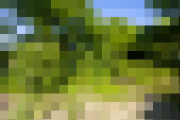 Logterberge 16 Gennep thumbnail 70