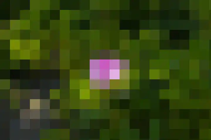 Logterberge 16 Gennep thumbnail 73