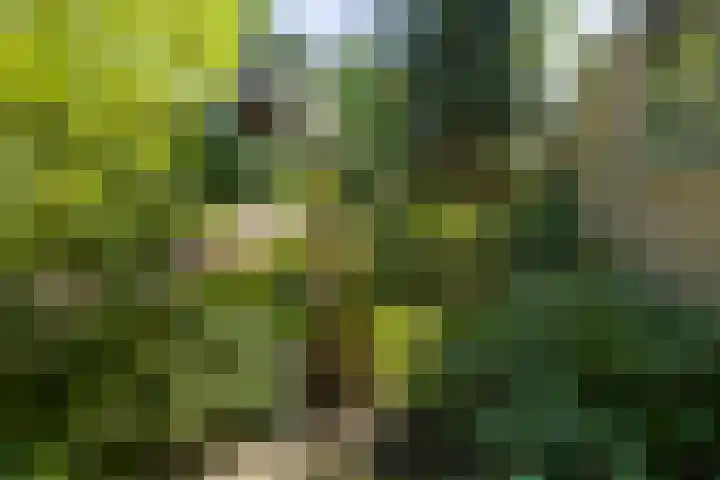 Logterberge 16 Gennep thumbnail 75
