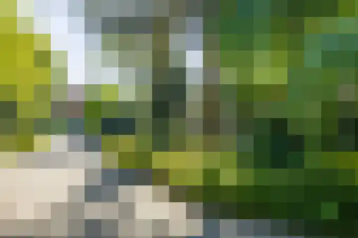 Logterberge 16 Gennep thumbnail 83