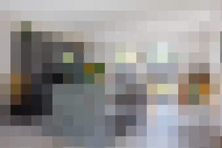 Logterbos 5 Gennep thumbnail 16