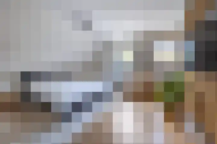 Logterbos 5 Gennep thumbnail 31