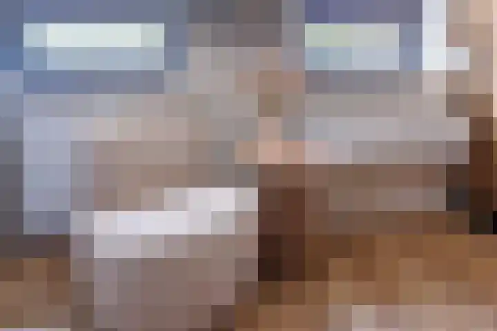 Logterbos 5 Gennep thumbnail 33