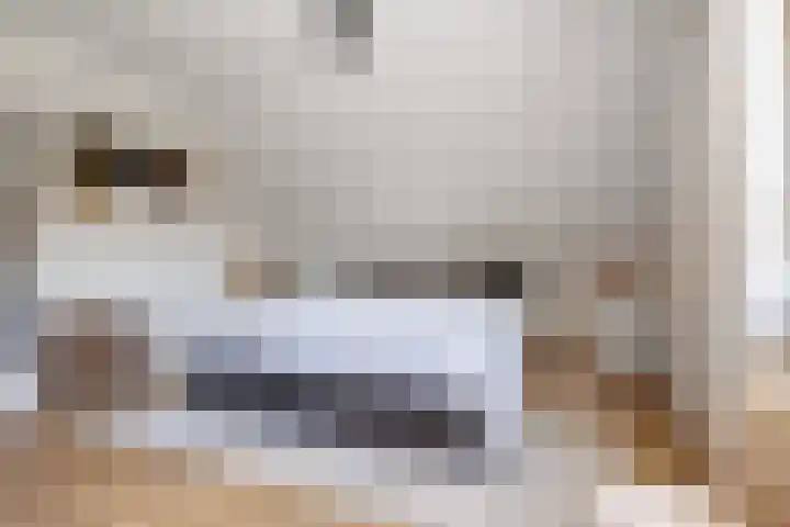 Logterbos 5 Gennep thumbnail 34