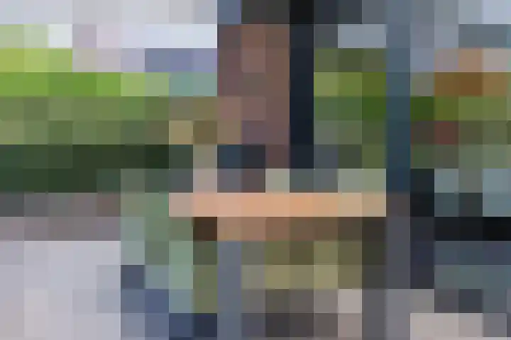 Logterbos 5 Gennep thumbnail 52