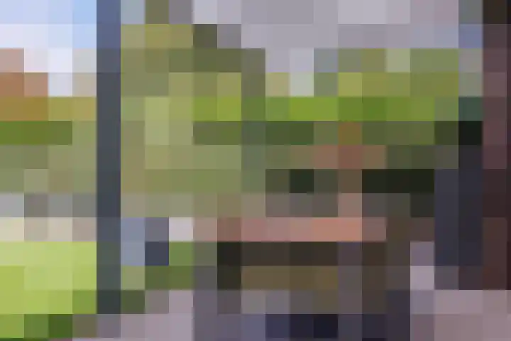 Logterbos 5 Gennep thumbnail 53