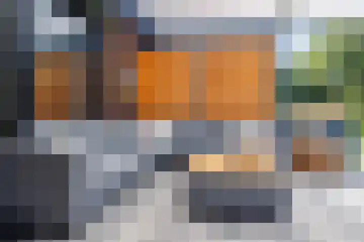 Logterbos 5 Gennep thumbnail 55