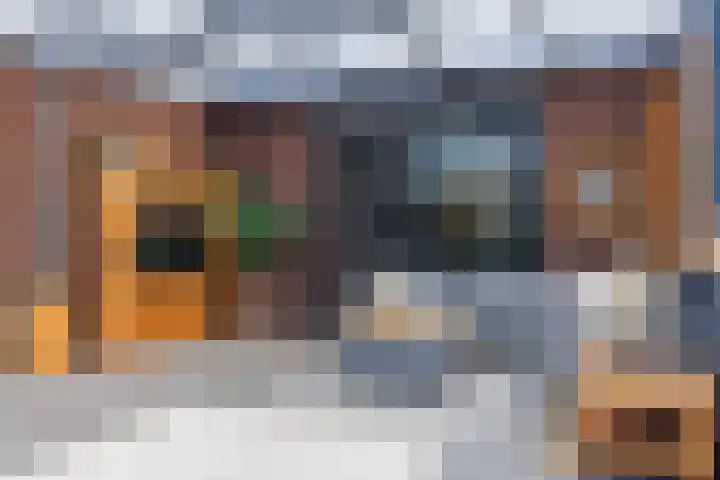 Logterbos 5 Gennep thumbnail 57