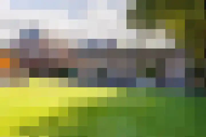 Logterbos 5 Gennep thumbnail 61
