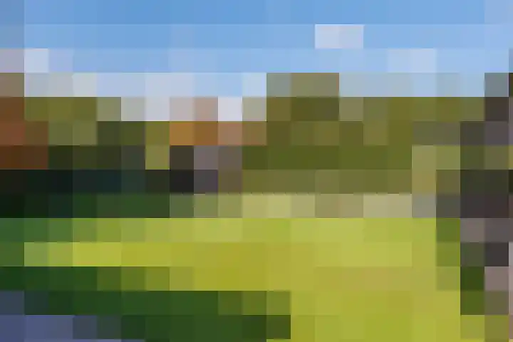 Logterbos 5 Gennep thumbnail 62