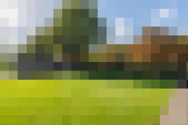 Logterbos 5 Gennep thumbnail 63