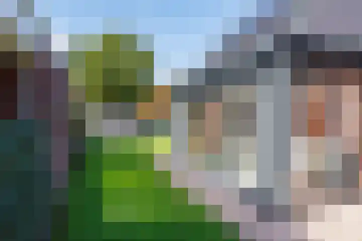 Logterbos 5 Gennep thumbnail 66