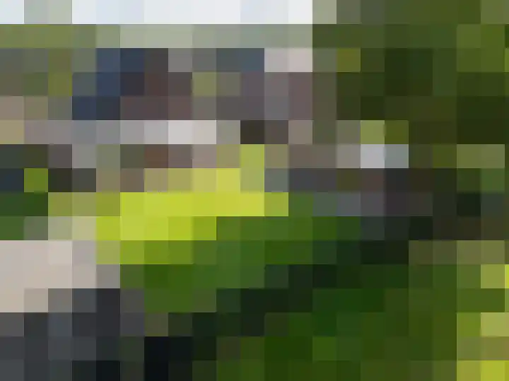 Logterbos 5 Gennep thumbnail 67