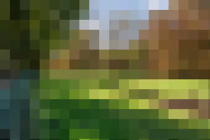 Logterbos 5 Gennep thumbnail 68