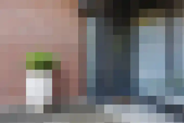 Logterbos 5 Gennep thumbnail 69