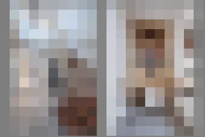 Logterbos 5 Gennep thumbnail 7